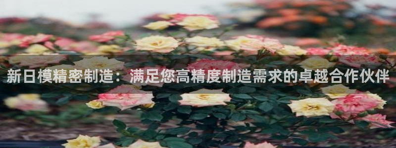彩神网官网登录：新日模精密制造：满足您高精度制造需求的卓越合作伙伴
