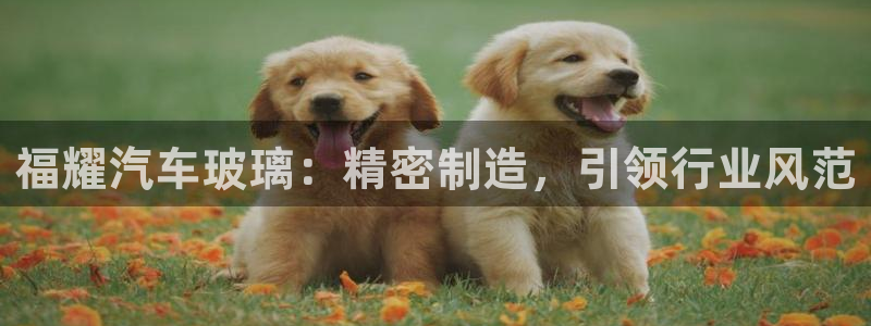彩神V集团有限公司：福耀汽车玻璃：精密制造，引领行业风范
