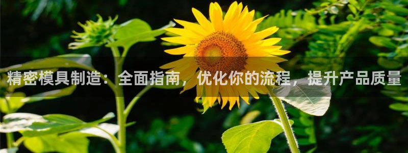 彩神v网赌软件下载：精密模具制造：全面指南，优化你的流程，提升产品质量