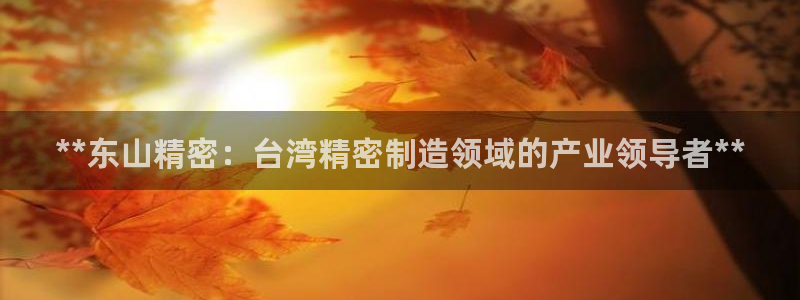 彩神是真的吗：**东山精密：台湾精密制造领域的产业领导者**