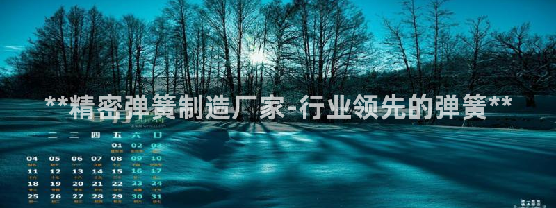 下载彩神v8：**精密弹簧制造厂家-行业领先的弹簧**
