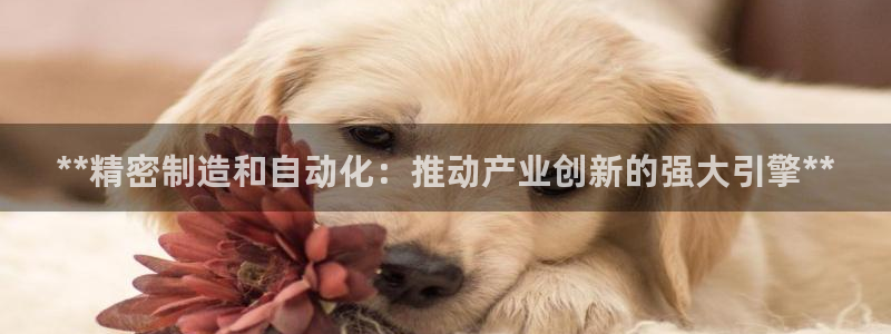 彩神v8手机客户端下载：**精密制造和自动化：推动产业创新的强大引擎**