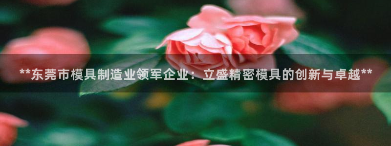 彩神vlll官网网上购彩：**东莞市模具制造业领军企业：立盛精密模具的创新与卓越**