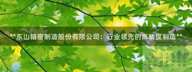 彩神购彩-购彩大厅入口老版：**东山精密制造股份有限公司：行业领先的高精度制造**
