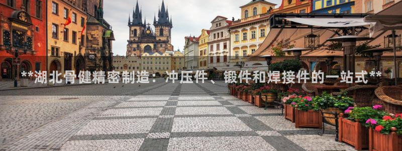 彩神vll首页企业文化：**湖北骨健精密制造：冲压件、锻件和焊接件的一站式**