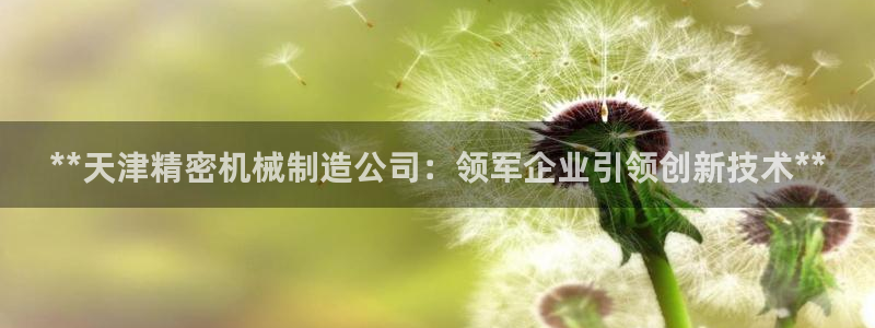 彩神v彩搜狗：**天津精密机械制造公司：领军企业引领创新技术**