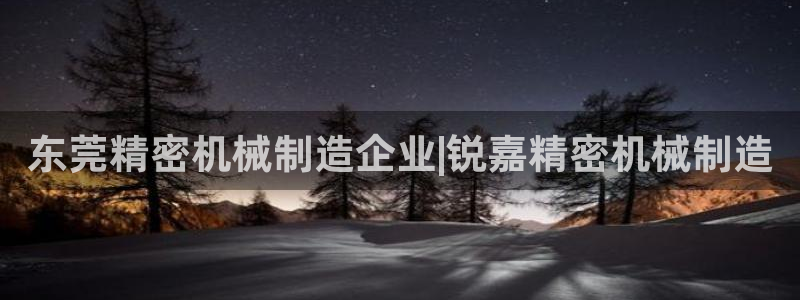 彩神vip购彩大厅下载：东莞精密机械制造企业|锐嘉精密机械制造