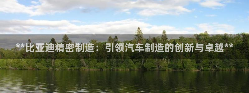 彩神V官网：**比亚迪精密制造：引领汽车制造的创新与卓越**