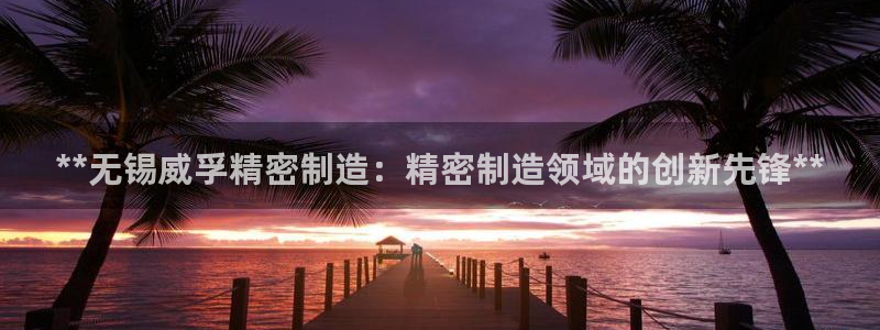 彩神x平台靠什么盈利：**无锡威孚精密制造：精密制造领域的创新先锋**