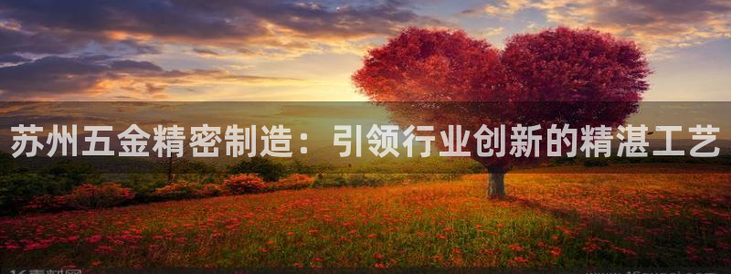 彩神V集团有限公司：苏州五金精密制造：引领行业创新的精湛工艺