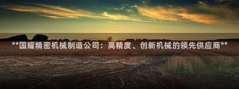 彩神V官网：**国耀精密机械制造公司：高精度、创新机械的领先供应商**