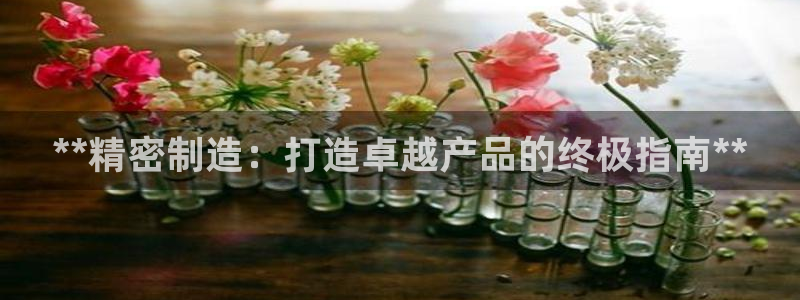 彩神V8平台：**精密制造：打造卓越产品的终极指南**