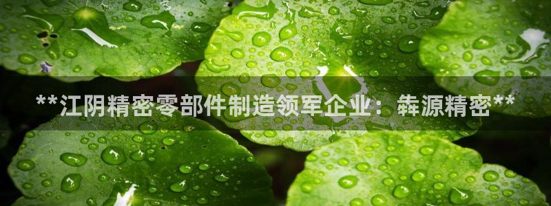 彩神8是正规平台吗：**江阴精密零部件制造领军企业：犇源精密**