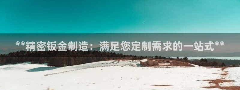 彩神官方登录：**精密钣金制造：满足您定制需求的一站式**
