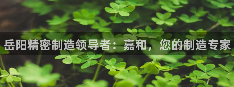彩神V8平台：岳阳精密制造领导者：嘉和，您的制造专家