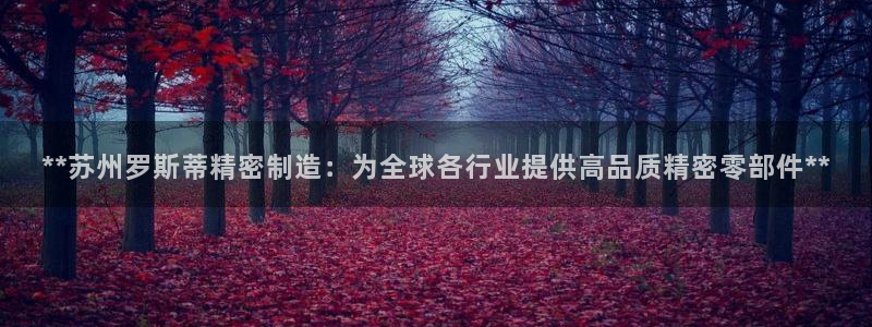 彩神赢钱了吗是真的吗：**苏州罗斯蒂精密制造：为全球各行业提供高品质精密零部件**