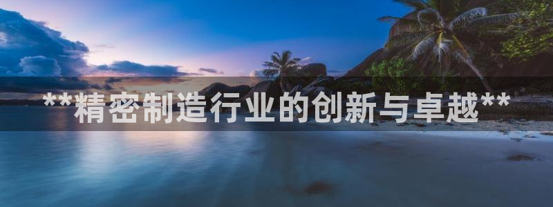 彩神8官网版是正规的吗：**精密制造行业的创新与卓越**
