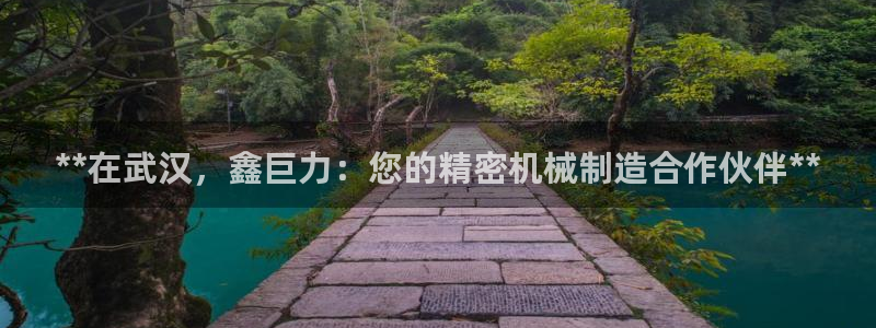 彩神v下载安装：**在武汉，鑫巨力：您的精密机械制造合作伙伴**