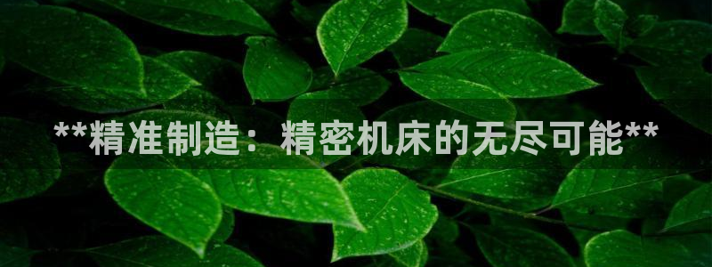 彩神购彩-购彩大厅入口36fr：**精准制造：精密机床的无尽可能**