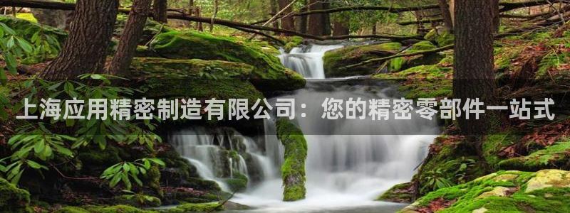彩神vll首页环球：上海应用精密制造有限公司：您的精密零部件一站式
