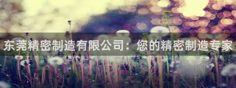 彩神网可以赚钱是真的吗：东莞精密制造有限公司：您的精密制造专家