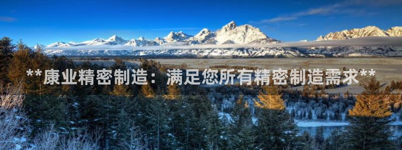 彩神新微聊：**康业精密制造：满足您所有精密制造需求**