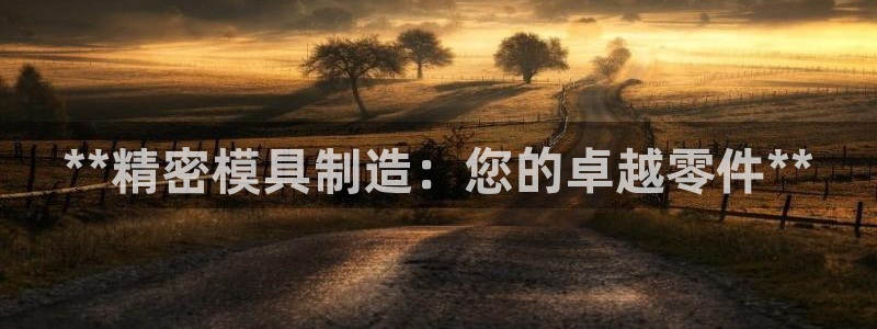 彩神用户登录：**精密模具制造：您的卓越零件**