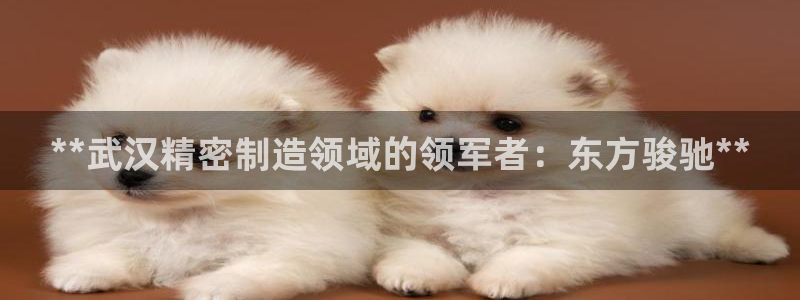 彩神viii官网：**武汉精密制造领域的领军者：东方骏驰**