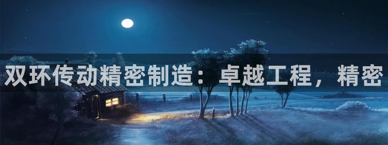 彩神网合法吗：双环传动精密制造：卓越工程，精密