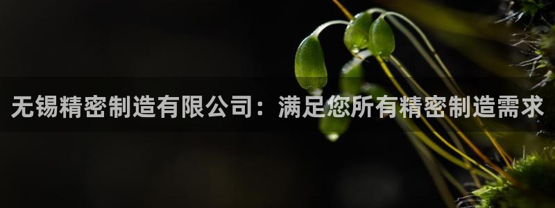 彩神客服电话：无锡精密制造有限公司：满足您所有精密制造需求