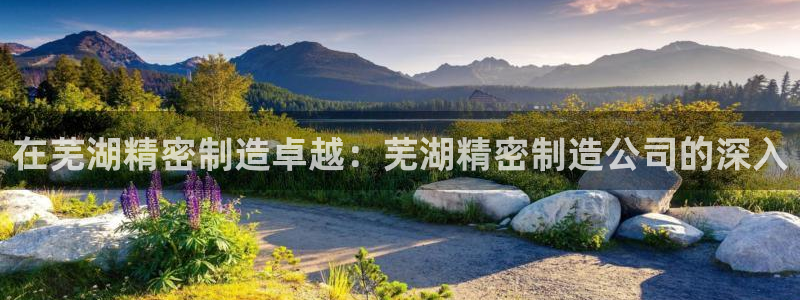 彩神V3大赢家：在芜湖精密制造卓越：芜湖精密制造公司的深入