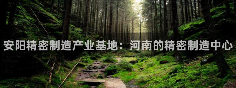 彩神ⅴll是什么样平台：安阳精密制造产业基地：河南的精密制造中心
