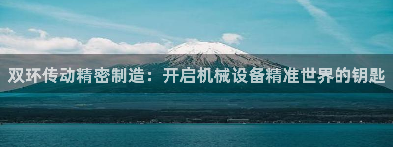 天天彩神welcome：双环传动精密制造：开启机械设备精准世界的钥匙