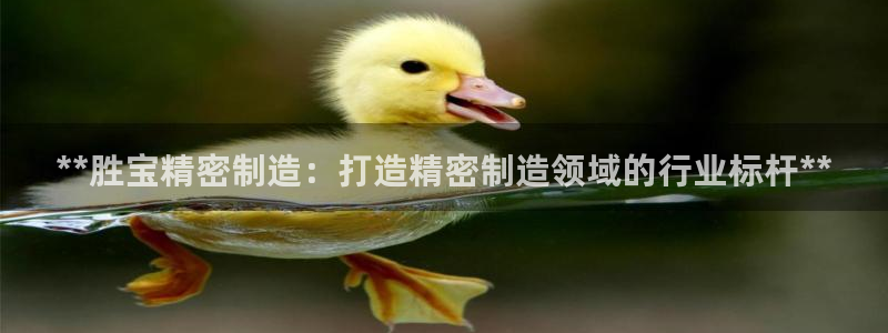 下载彩神乐发V1：**胜宝精密制造：打造精密制造领域的行业标杆**