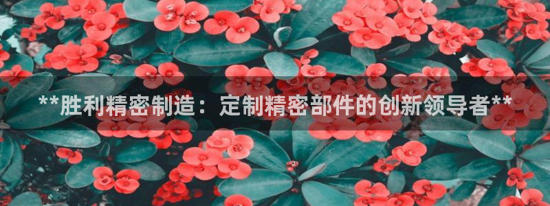 彩神vll首页企业文化：**胜利精密制造：定制精密部件的创新领导者**