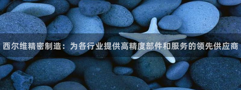 彩神官方网站登录是多少：西尔维精密制造：为各行业提供高精度部件和服务的领先供应商