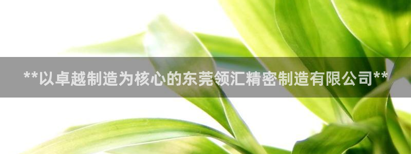 所有彩神购买首页中心：**以卓越制造为核心的东莞领汇精密制造有限公司**