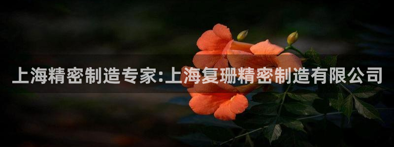 彩神骗局：上海精密制造专家:上海复珊精密制造有限公司