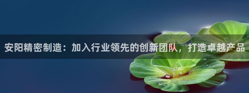 彩神V官网：安阳精密制造：加入行业领先的创新团队，打造卓越产品
