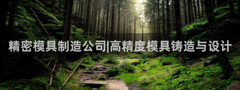 彩神争霸平台：精密模具制造公司|高精度模具铸造与设计