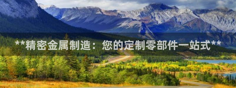 彩神系列平台：**精密金属制造：您的定制零部件一站式**