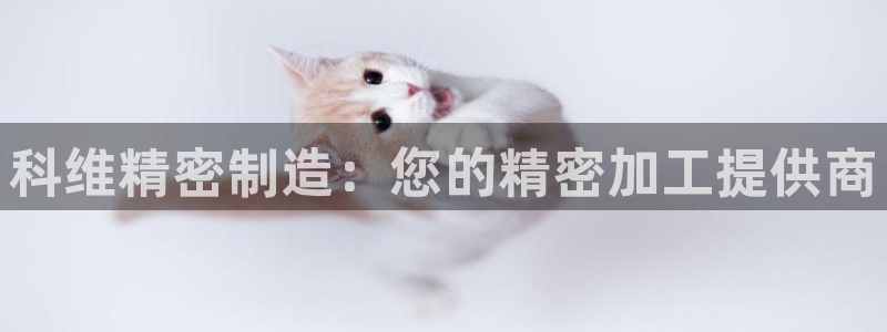 彩神网能赚钱是怎么回事