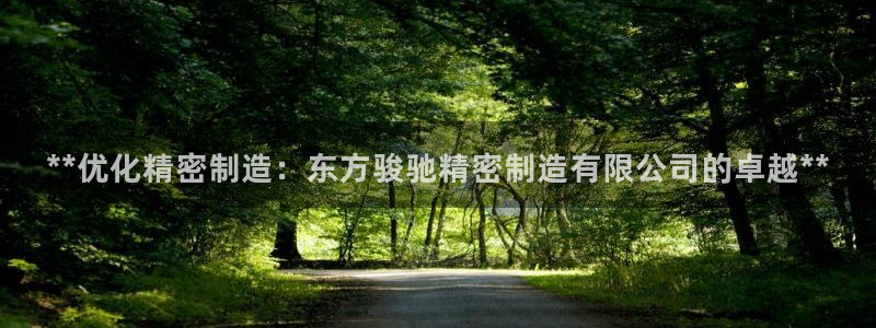 彩神是怎样一个平台赚钱的：**优化精密制造：东方骏驰精密制造有限公司的卓越**