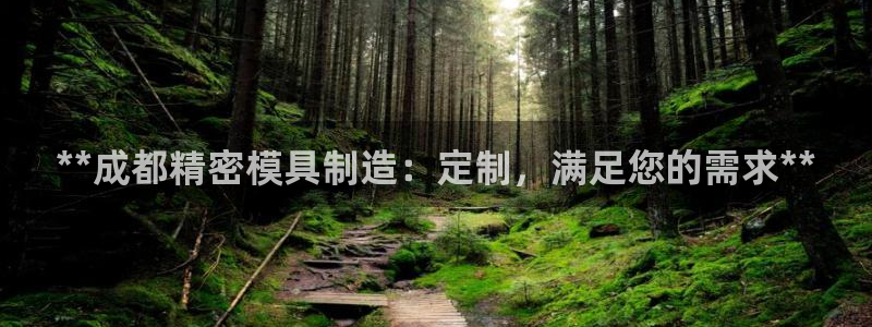 彩神iv能赚钱吗：**成都精密模具制造：定制，满足您的需求**