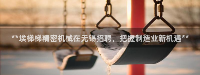 彩神ix官网是哪个公司的