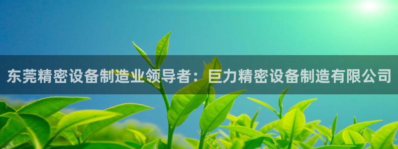 彩神vllⅰ购彩大厅：东莞精密设备制造业领导者：巨力精密设备制造有限公司
