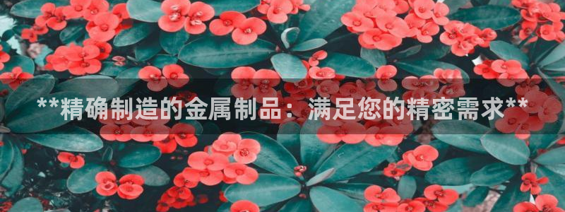 天天彩神welcome：**精确制造的金属制品：满足您的精密需求**