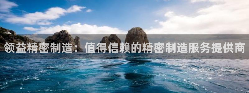 彩神 好 平台：领益精密制造：值得信赖的精密制造服务提供商