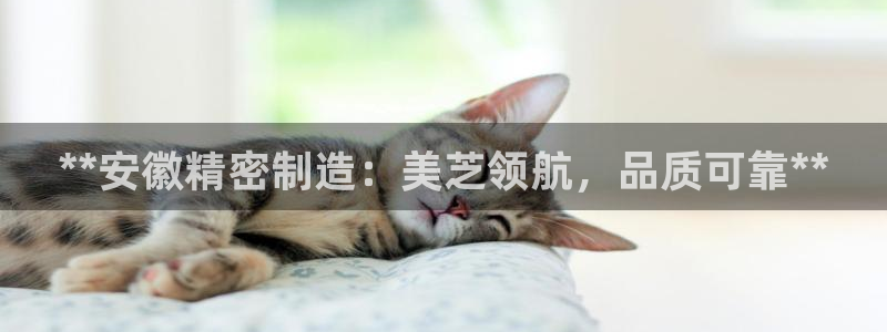 彩神vi争霸官网：**安徽精密制造：美芝领航，品质可靠**