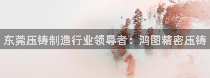 彩神赢钱了吗